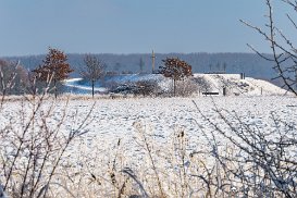 Marienfeld im Winter