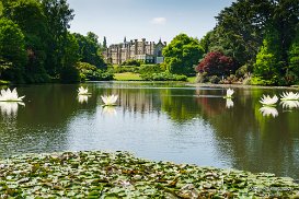 Sheffield Garden