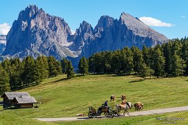 Seiser Alm