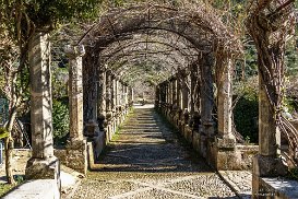 Bunyola - Jardines de Alfabia