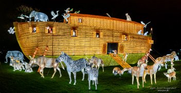 China Light-Festival 2025