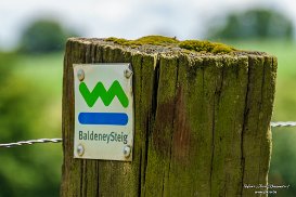 Essen: Baldeneysteig