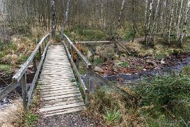 Etappe 3b: Ternell - Botrange